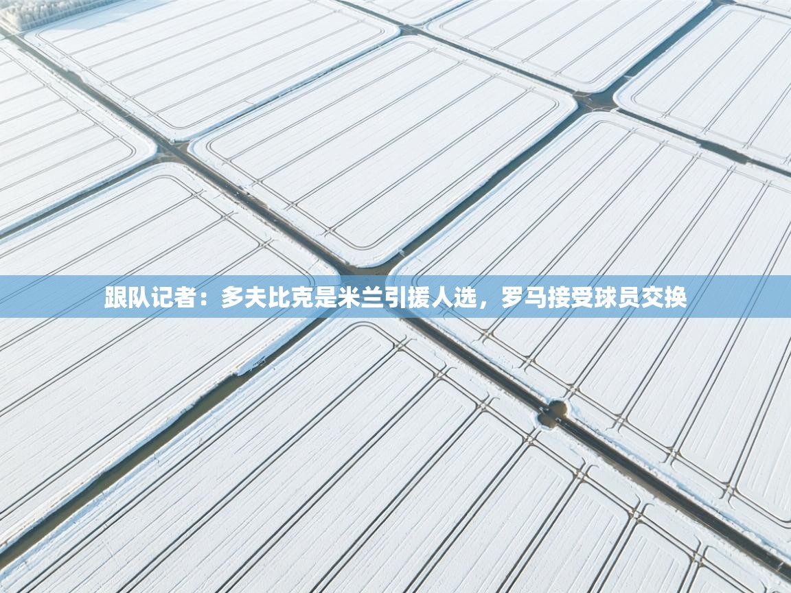 问鼎娱乐app官方下载-跟队记者：多夫比克是米兰引援人选，罗马接受球员交换  第3张