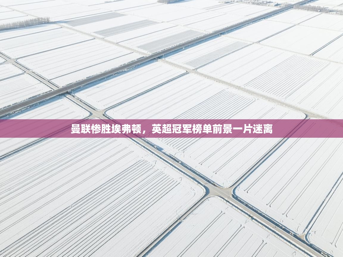 问鼎娱乐ios-曼联惨胜埃弗顿，英超冠军榜单前景一片迷离  第3张