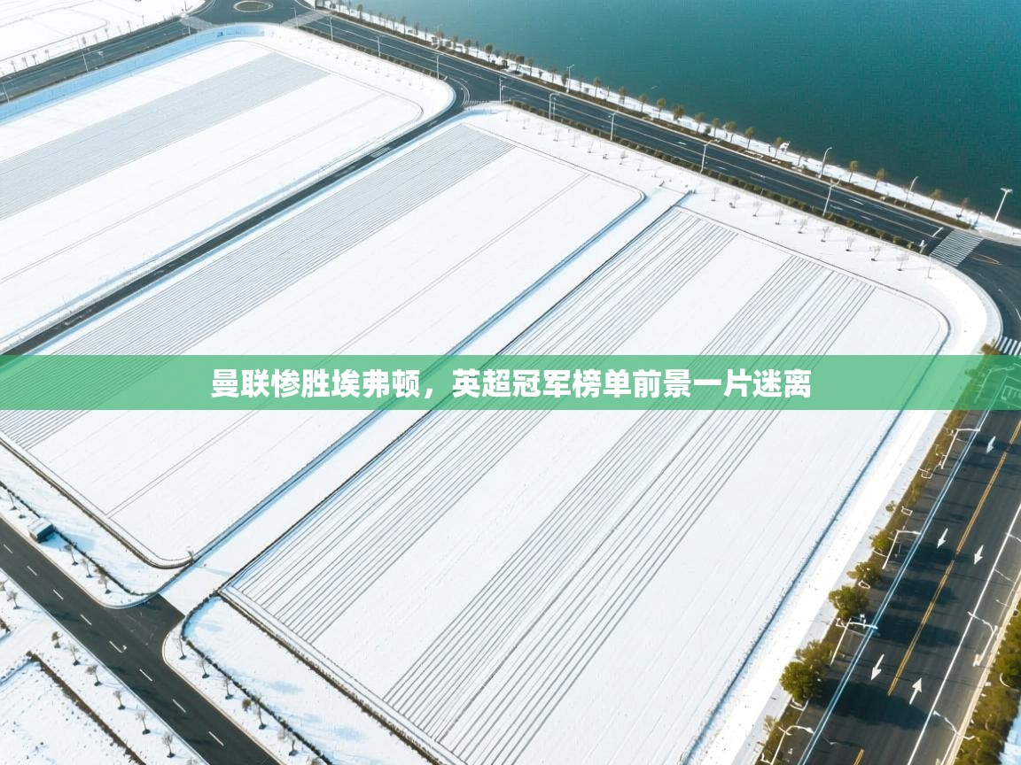 问鼎娱乐ios-曼联惨胜埃弗顿，英超冠军榜单前景一片迷离  第4张