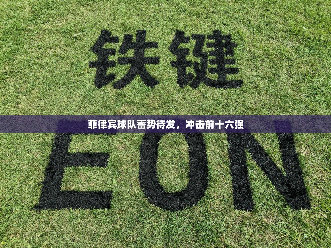 问鼎娱乐app下载官网-菲律宾球队蓄势待发,冲击前十六强 第1张