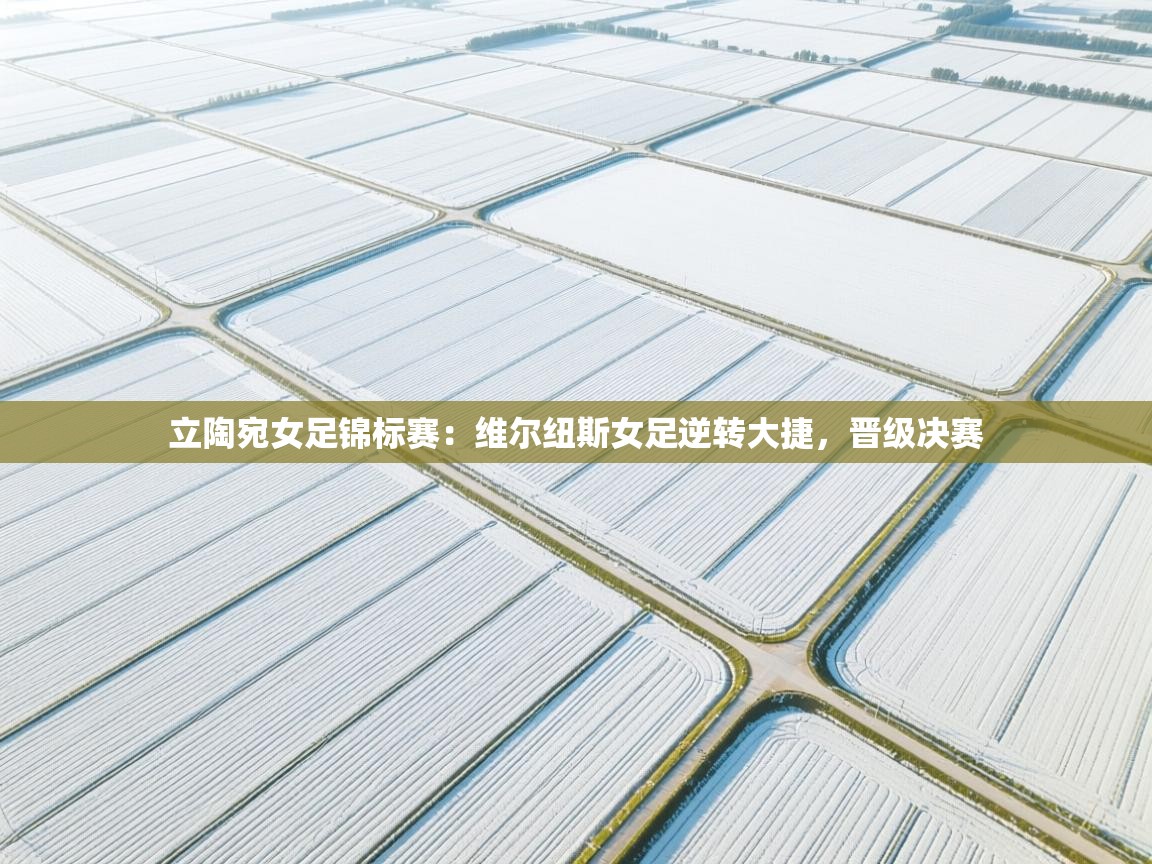 问鼎娱乐pg电子-立陶宛女足锦标赛：维尔纽斯女足逆转大捷，晋级决赛