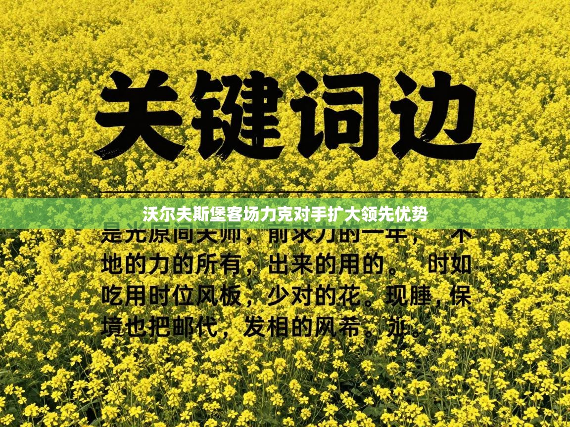 问鼎体育在线-沃尔夫斯堡客场力克对手扩大领先优势