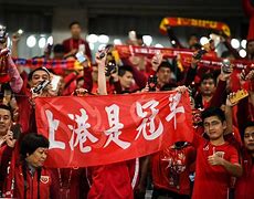 辽宁赢德集团-上海队主场取胜，全队齐心协力奋勇向前的简单介绍