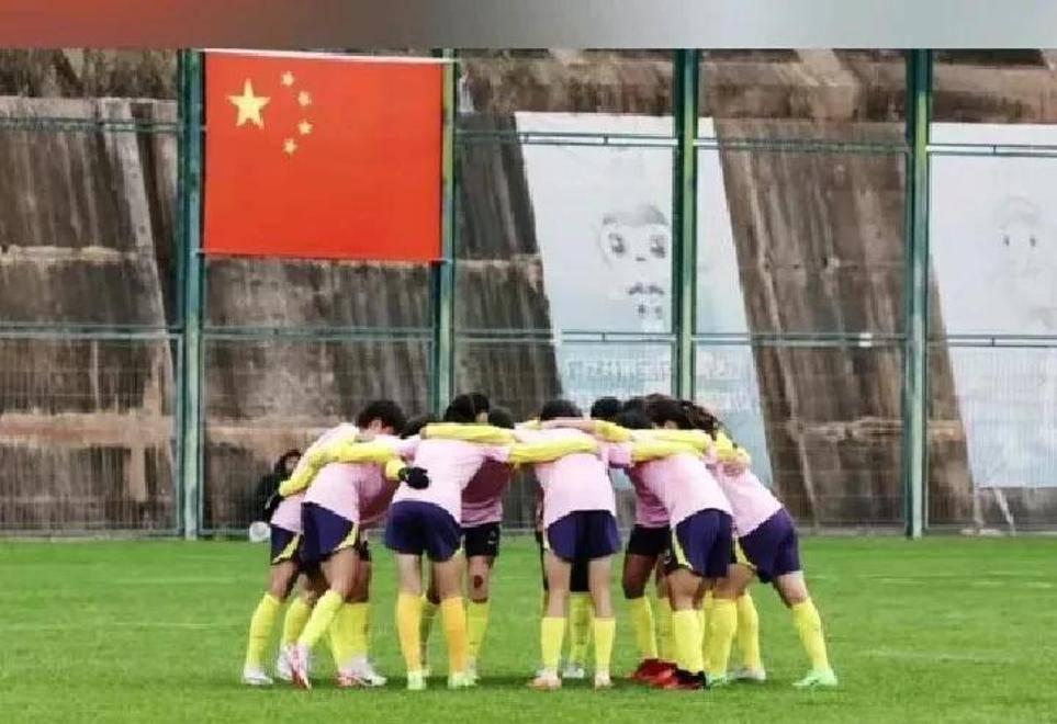 德赢官网官网-日本队与法国女足-握手言和提前离开女足世界杯