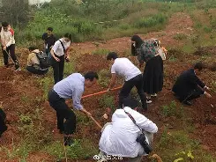 包含意甲主席明确联赛改革方向，引发关注舆论的词条